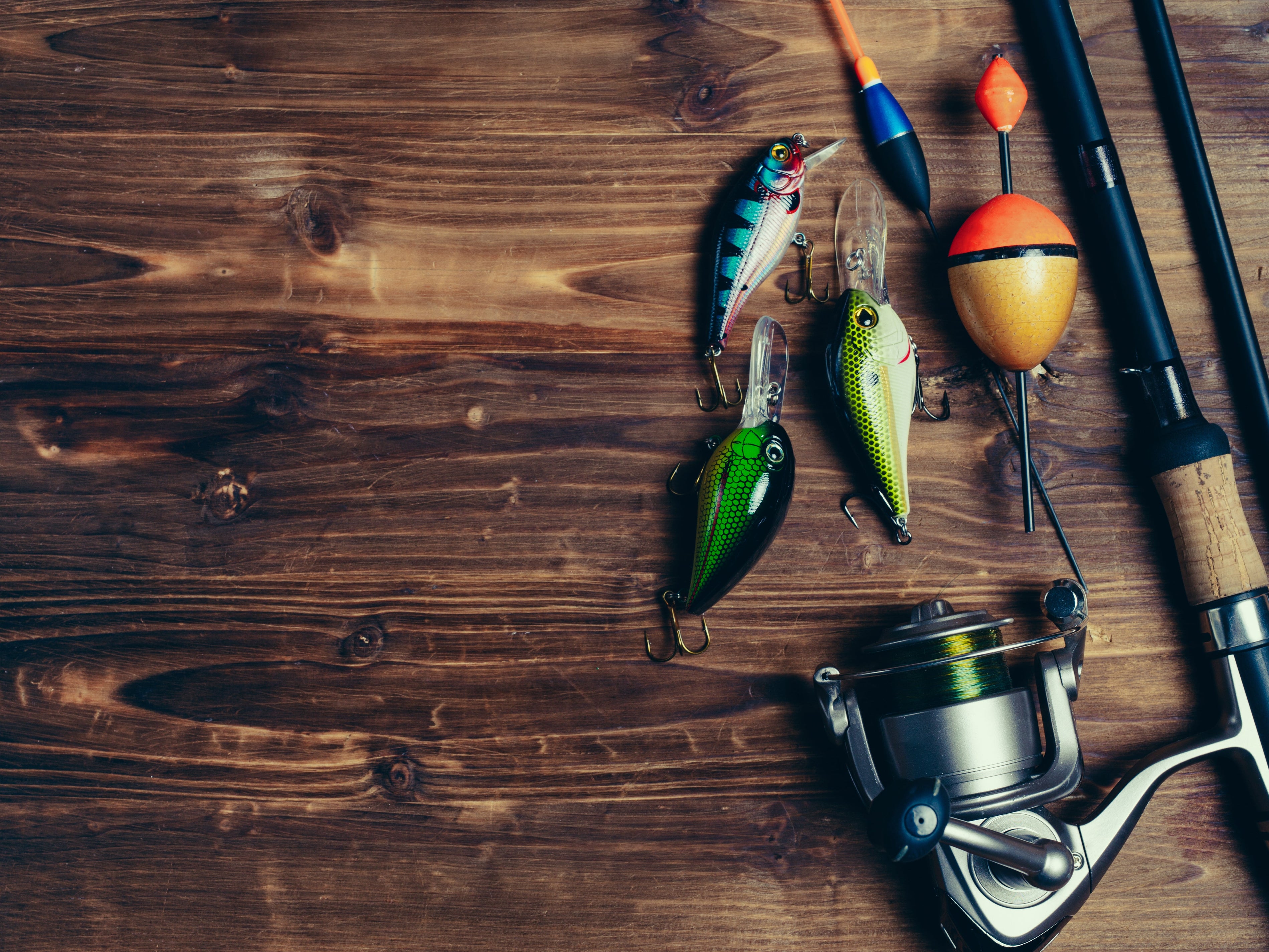 Como Escolher a Isca Perfeita para Cada Tipo de Peixe