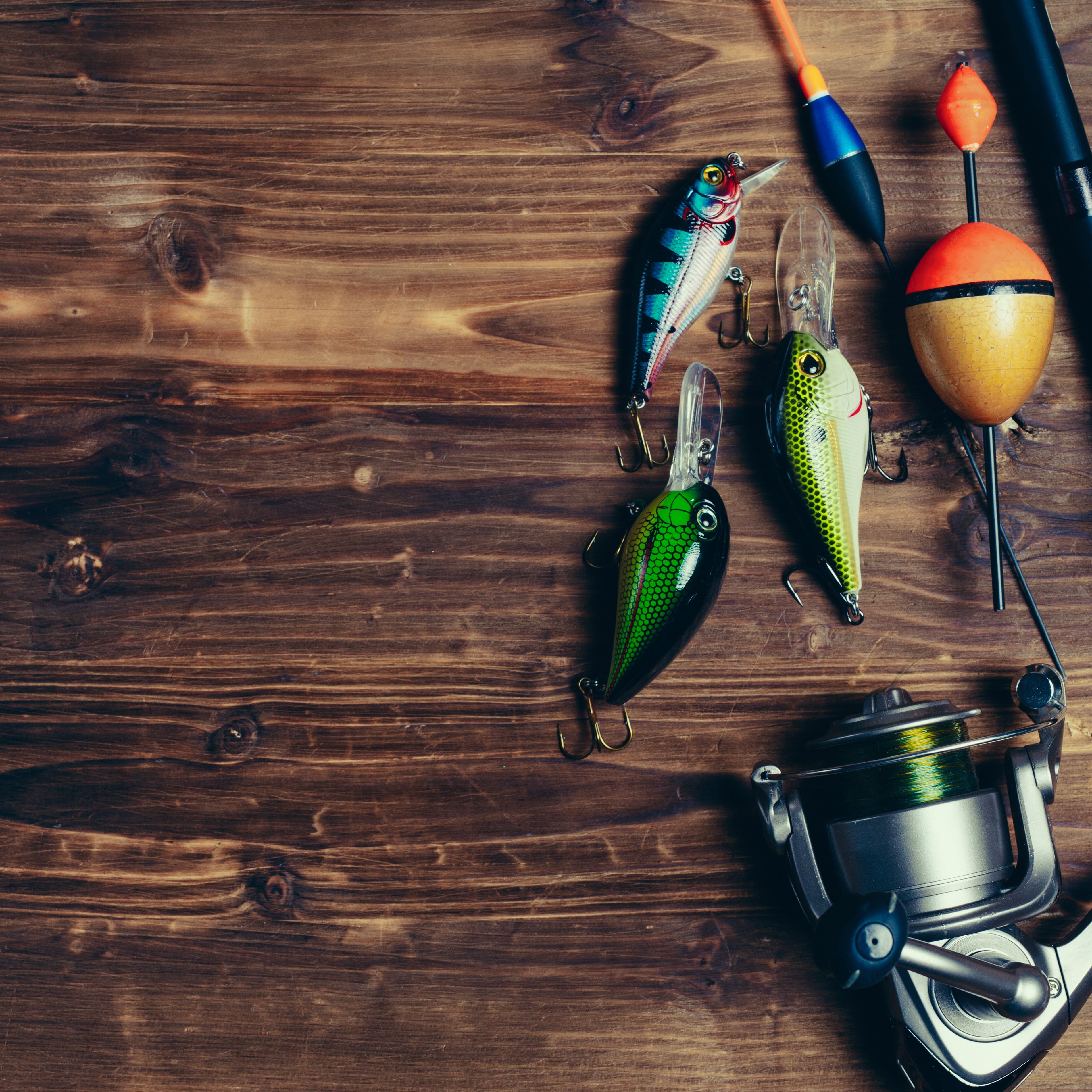 Como Escolher a Isca Perfeita para Cada Tipo de Peixe