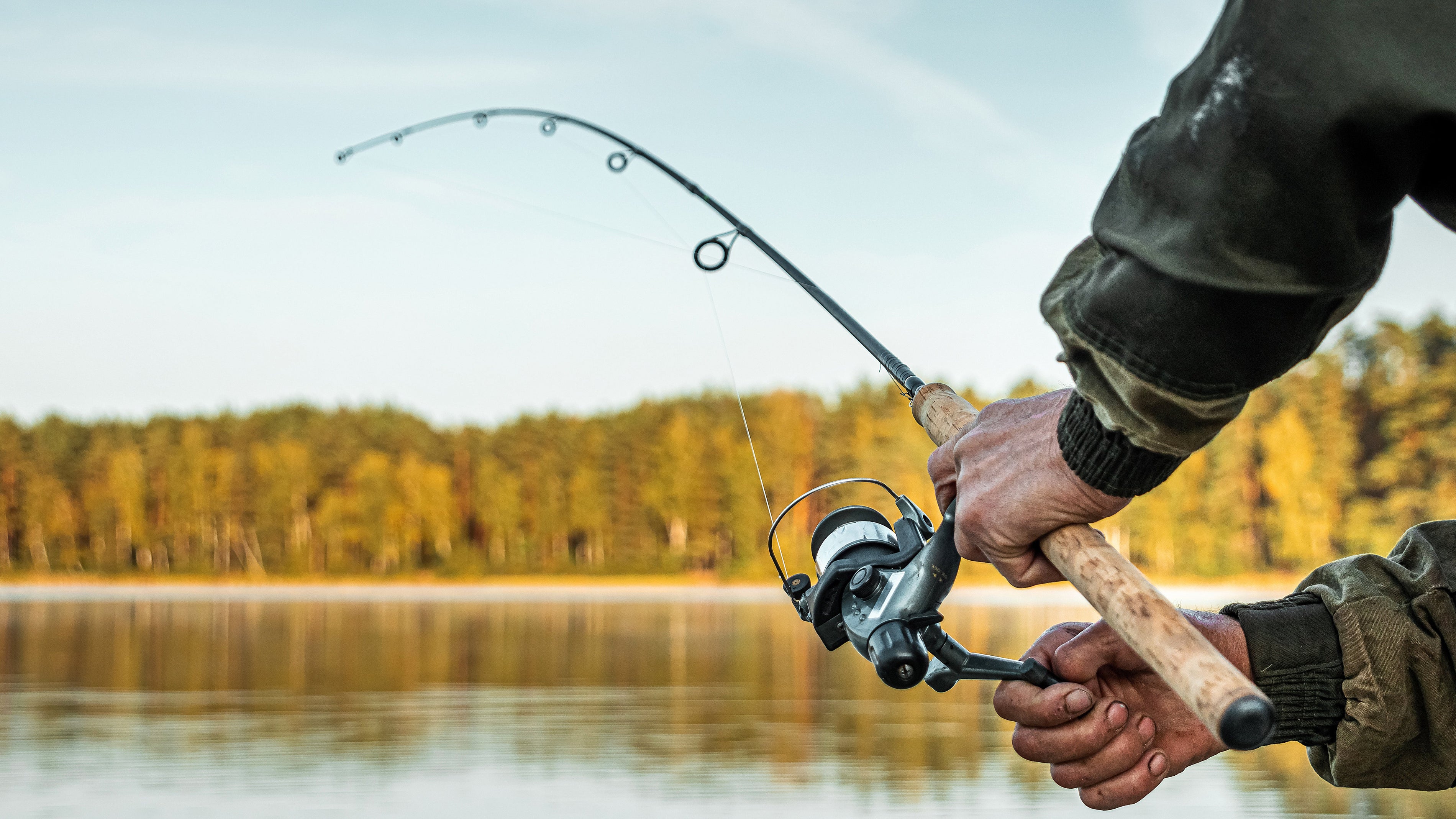 Guia Completo para Escolher a Vara de Pesca Ideal