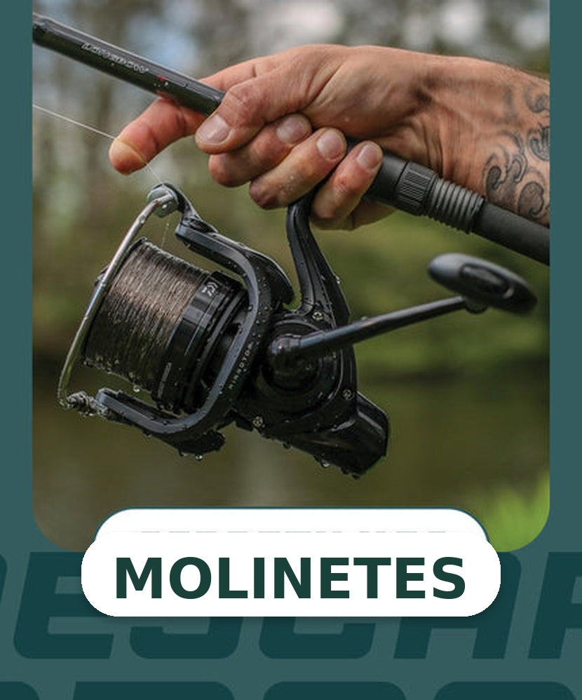Molinetes